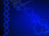 DNA Designs Premium PowerPoint Templates