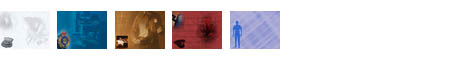 Police Legal PowerPoint Templates