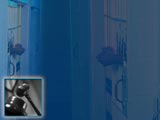 Criminal Law Legal PowerPoint Templates