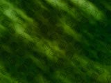 Court Pattern Legal PowerPoint Templates