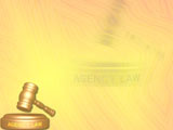 Agency Law Legal PowerPoint Templates